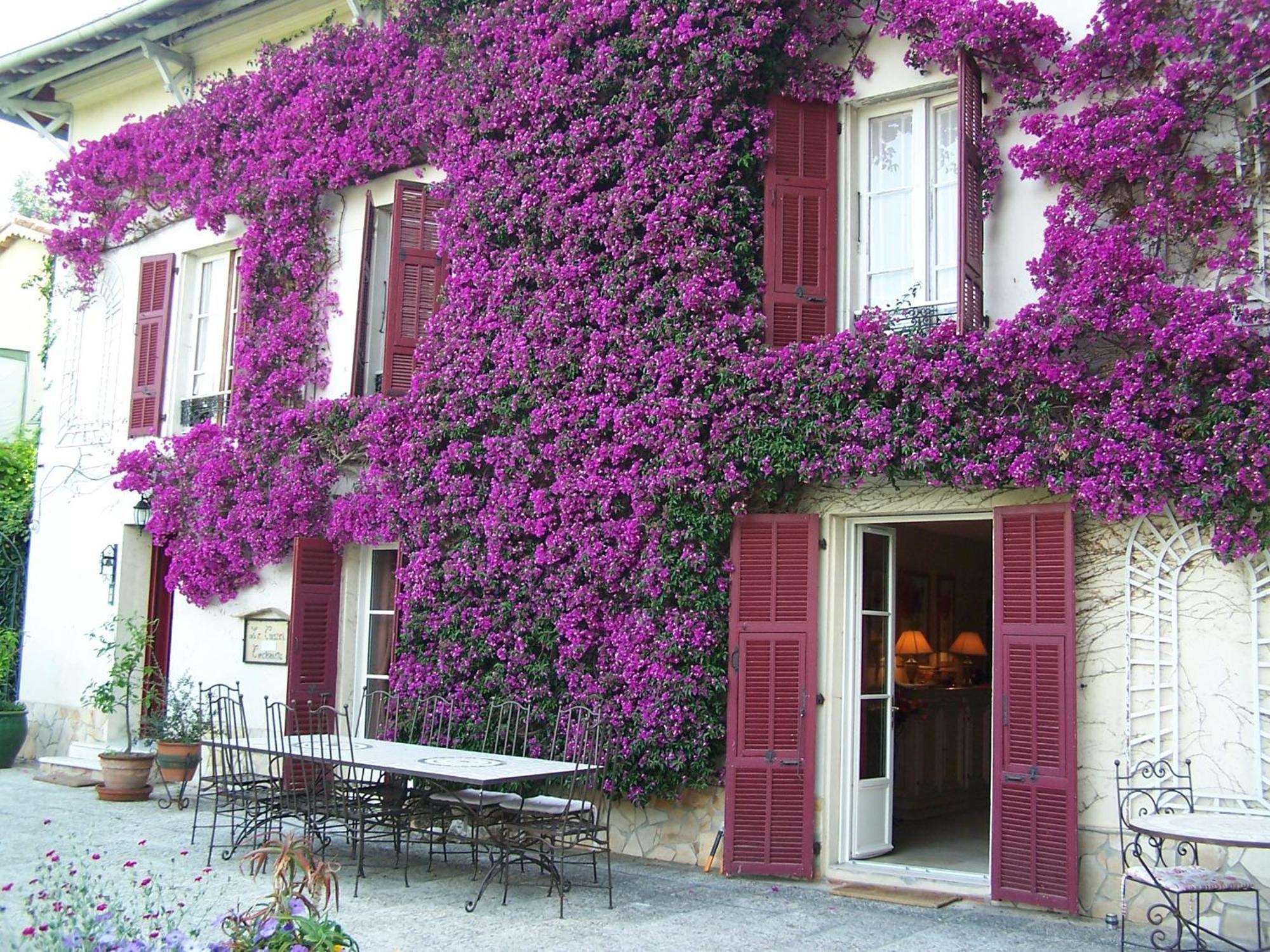 Castel Enchante Ницца Экстерьер фото